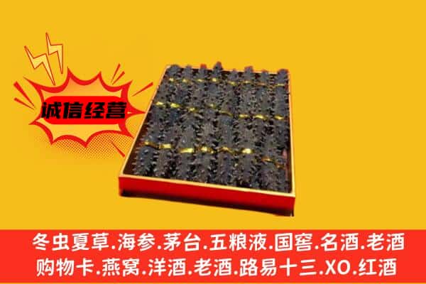 伊春市友好回收海参